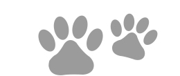 Paw Prints